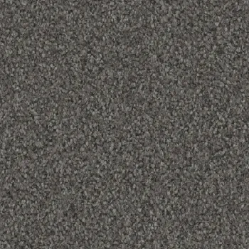 Preview: Vorwerk Luana Teppichboden dunkelgrau – rechteckige Draufsicht